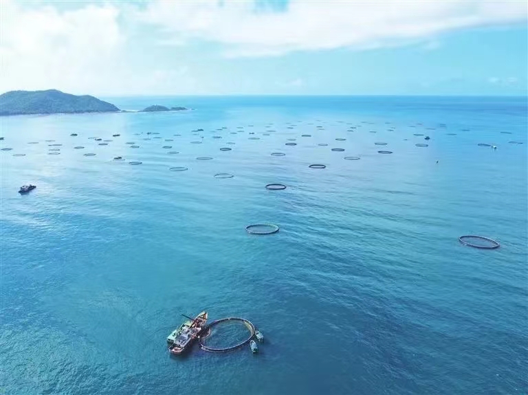 再攀新高！三亞農(nóng)投海洋產(chǎn)業(yè)有限公司成功入選